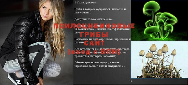 кокаин Алексеевка