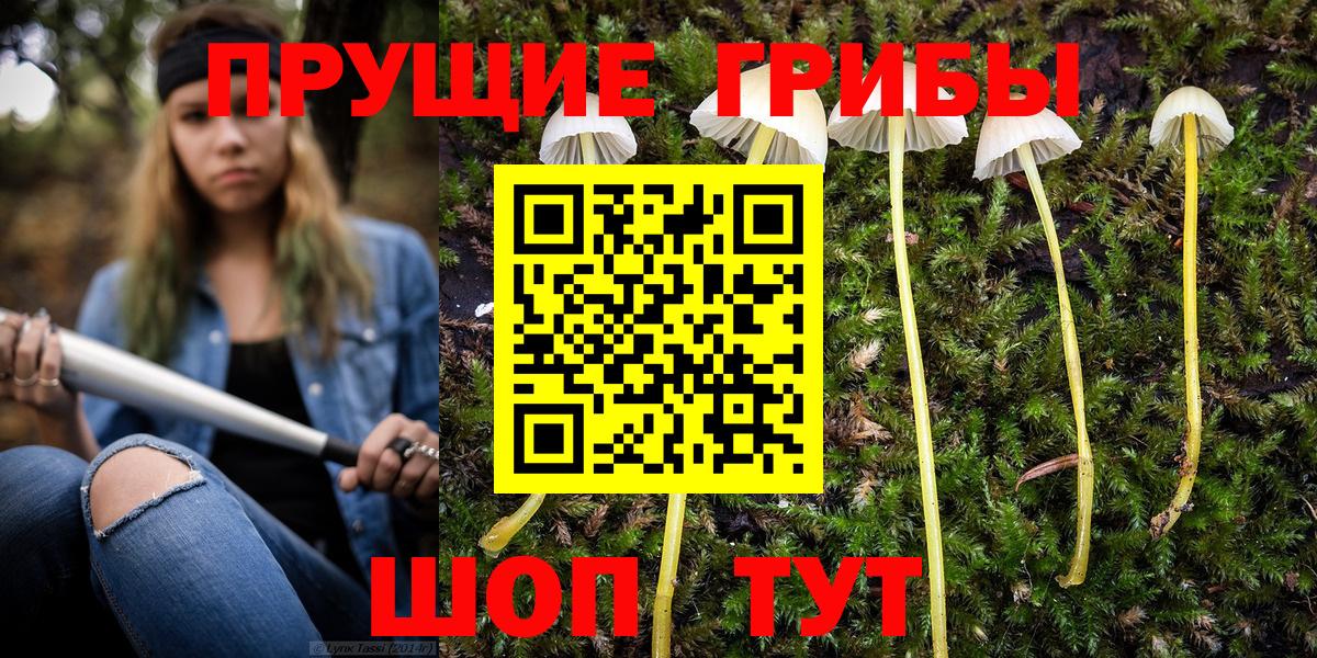 Псилоцибиновые грибы мицелий Югорск