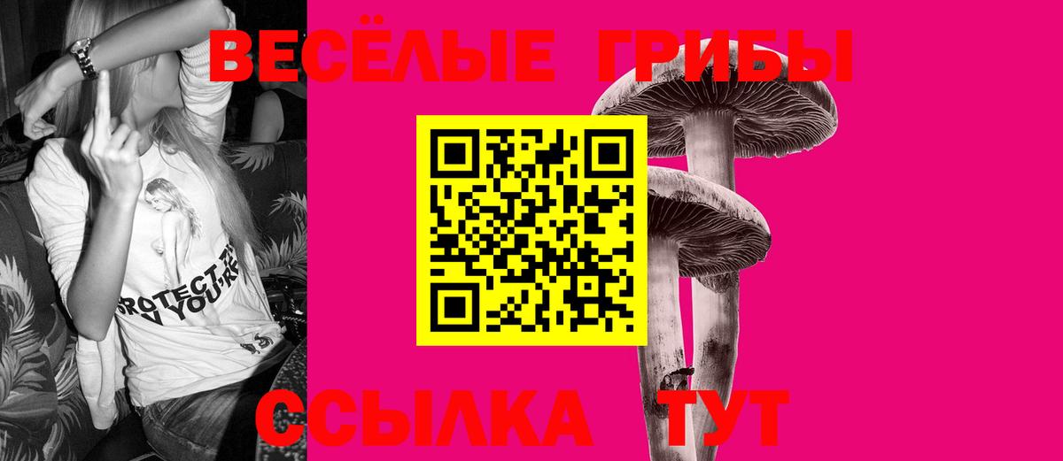 Галлюциногенные грибы Psilocybine cubensis  Вход с VPN  Югорск 